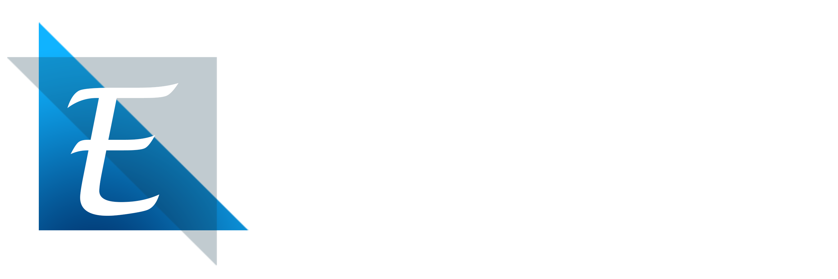 شعار فندق إيليت بارك